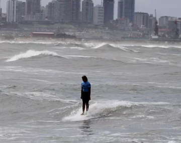 Show de surf en Mar del Plata: las inspiradoras historias del torneo top de tablas largas