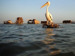 El lago más grande de Pakistán, cada vez más envenenado