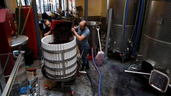 La producción de vinos en París de Vignerons Parisiens La producción de vinos en París de Vignerons Parisiens