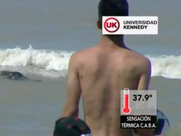 Revuelo en la playa de San Bernardo por la aparición de un lobo marino