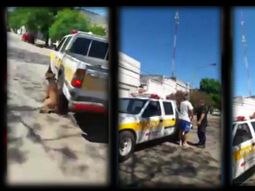 El agente de Guardia Civil implicado fue separado de su cargo