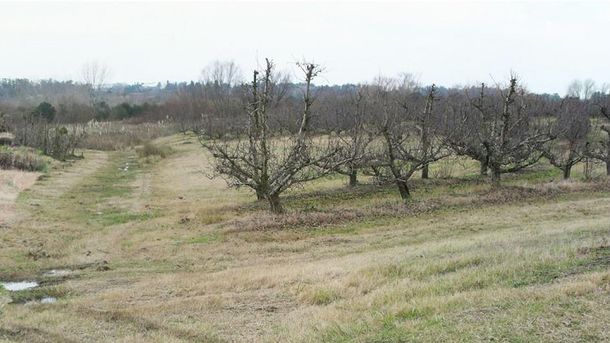 El Ministerio de Ganadería