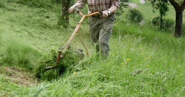 El paso a paso sencillo para eliminar las manchas de pasto en la ropa
