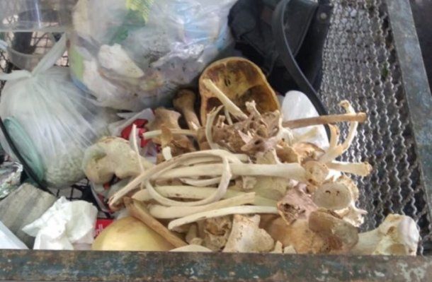 Cortesía 0221.com.ar