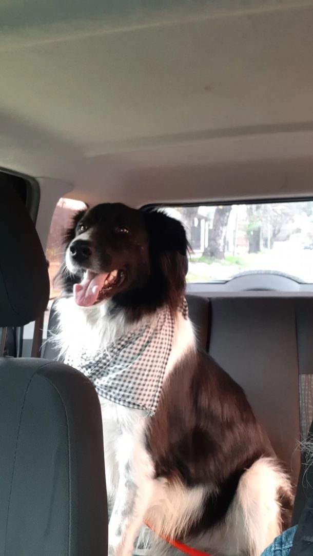 Foto gentileza: vivieloeste.com.ar Foto gentileza: vivieloeste.com.ar