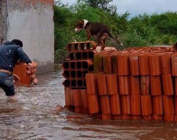 En medio de la inundación