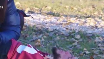 susto en el hotel de los famosos: alex caniggia recibio oxigeno susto en el hotel de los famosos: alex caniggia recibio oxigeno