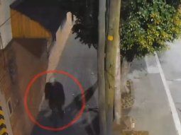 identifican y detienen al agresor del colectivero de la linea 126 identifican y detienen al agresor del colectivero de la linea 126