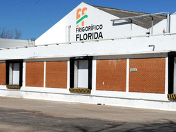 El grupo argentino Lequio adquirió el Frigorífico Florida por 8 millones de dólares. El grupo argentino Lequio adquirió el Frigorífico Florida por 8 millones de dólares.
