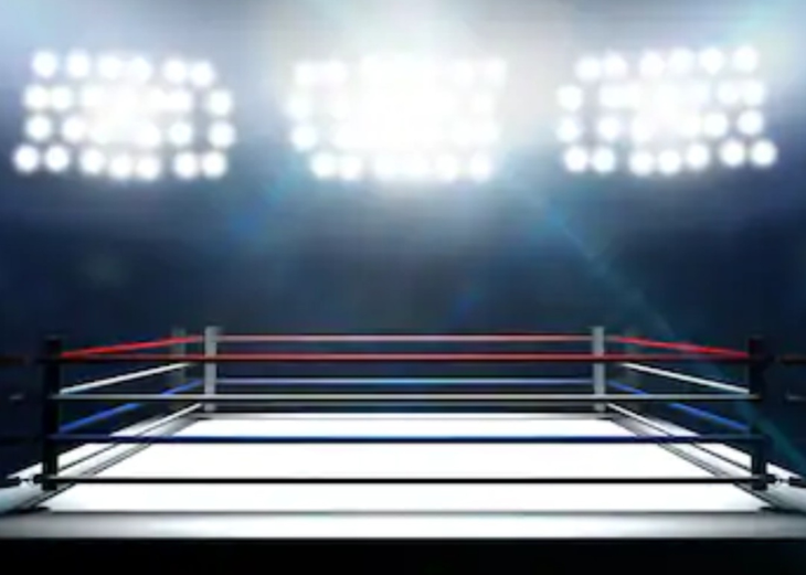 Sábado de boxeo: hoy pelea por el título argentino