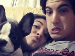 pago $14 mil por un bulldog frances trucho pago $14 mil por un bulldog frances trucho