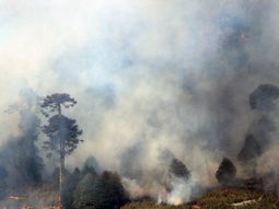 los incendios ya arrasaron mas de 11 mil hectareas en chile los incendios ya arrasaron mas de 11 mil hectareas en chile