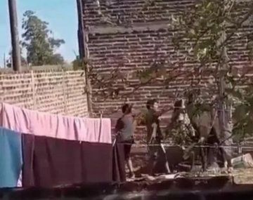 Entre Ríos: mataron a golpes a un caballo para comérselo