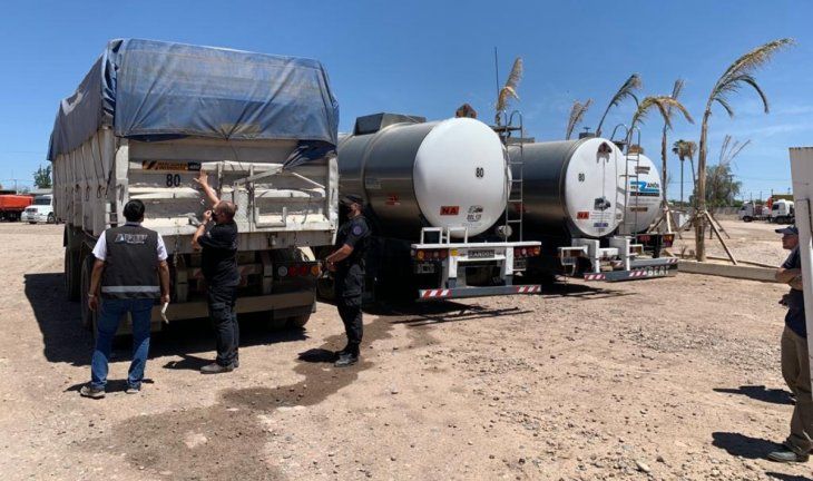 Querían exportar de manera fraudulenta más de 900 toneladas de maíz y aceites: los descubrió la AFIP