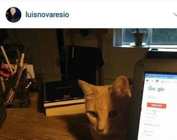 Novaresio dijo lo que más le dolió de la foto del gato con porno gay