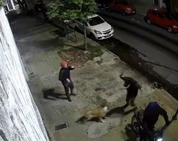Video: un perro salvó a su dueño de un robo en La Plata