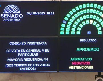 El Senado rechazó vetos a Emergencia Pediátrica y Financiamiento Universitario