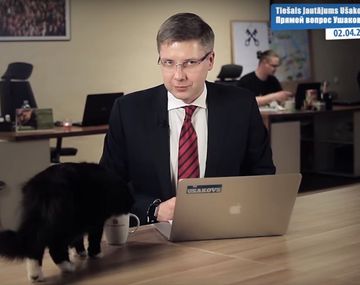 Un gato interrumpió la transmisión de un político