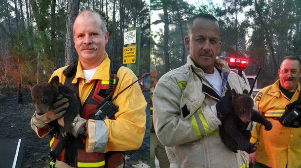 Unos bomberos rescataron a una cría de oso de un incendio forestal