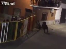 VIDEO: filmaba un encierro de toros y murió corneado