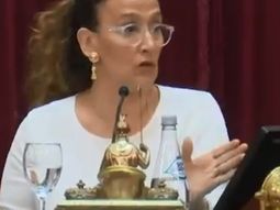 En medio de la jura de los senadores, Michetti apuró la sesión por un corte de luz