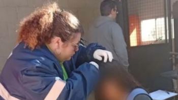 una mujer ataco a cadenazos a una chica de 14 anos en una escuela de junin una mujer ataco a cadenazos a una chica de 14 anos en una escuela de junin