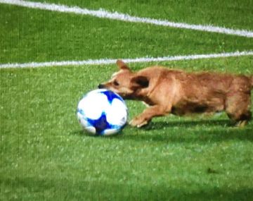 Crédito:&nbsp;@vermudeportivo