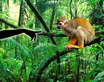 La confesión de una actriz: Me encantaría tener un animal exótico en casa