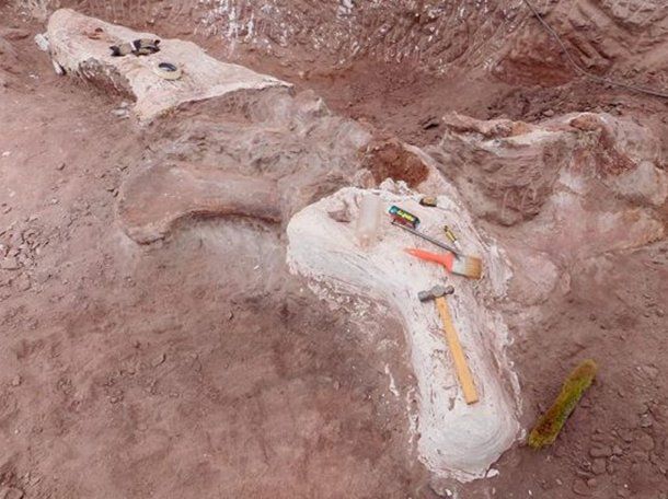 Investigadores del CONICET descubrieron restos de un dinosaurio que vivió hace 95 millones de años