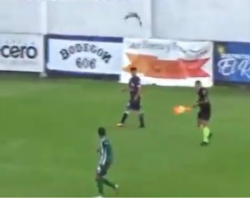 VIDEO: Un ataque de teros obligó a detener el partido entre Laferrere y Merlo durante seis minutos