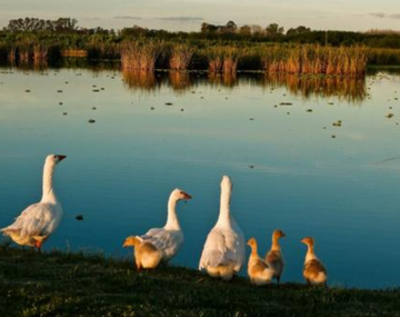 El pueblo poco conocido que tiene una laguna y con naturaleza por donde mires