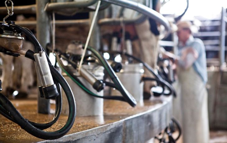 El Gobierno oficializó la ampliación de beneficios a productores lecheros