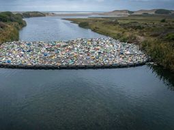 Una barrera en un río logró contener más de 400 kilos de basura en ocho meses. Una barrera en un río logró contener más de 400 kilos de basura en ocho meses.