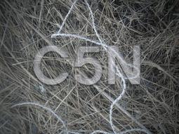 aca encontraron los cuerpos de las chicas saltenas ahorcadas aca encontraron los cuerpos de las chicas saltenas ahorcadas