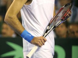 Del-potro2
