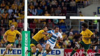 en un gran partido, los pumas lucharon pero no pudieron con australia en un gran partido, los pumas lucharon pero no pudieron con australia