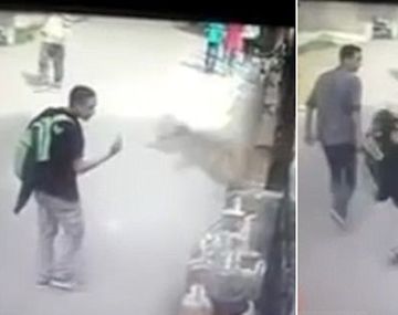 Kung Fu Mono: un primate agredió a un hombre por haberle hecho fuck you