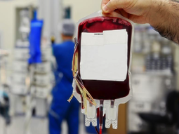 Provincia: unas 3.200 personas con Covid-19 recibieron tratamiento con plasma