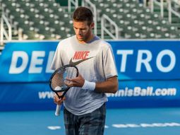 allanan oficinas de del potro por evasion impositiva allanan oficinas de del potro por evasion impositiva