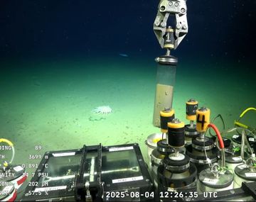 El streaming del CONICET llegó al New York Times: Frenesí submarino