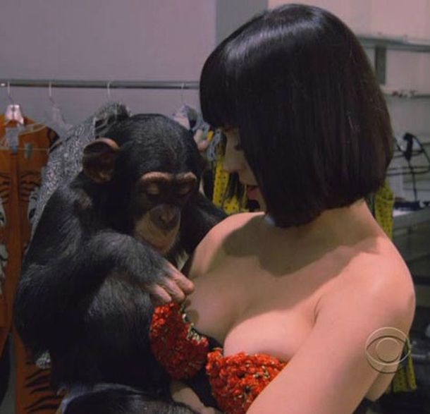 El escote de Katy Perry enamora hasta a los monos