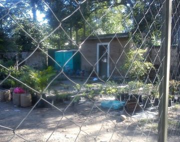 Gentileza: El Tribuno