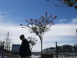 el invierno se despide con temperaturas agradables el invierno se despide con temperaturas agradables