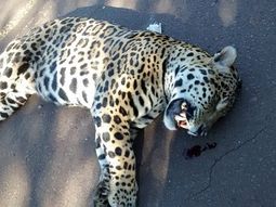 Foto: Prensa Ministerio de Ecología Foto: Prensa Ministerio de Ecología