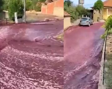 Las calles de un pueblo de Portugal se inundaron de vino