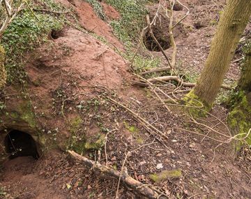 Encuentran una cueva de los Caballeros Templarios que tiene 700 años