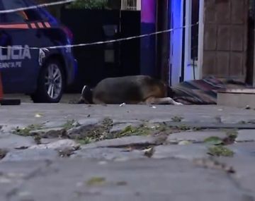 Murió un joven en situación de calle y su perro estuvo horas sin moverse de su lado
