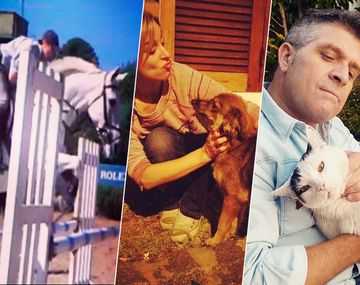 Los periodistas de C5N muestran a sus mascotas en el  Día del Animal