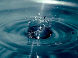 361794344_d64161f155