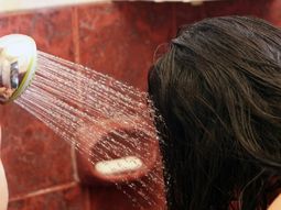 Prohibieron la venta y el uso de un shampoo y un baño de crema